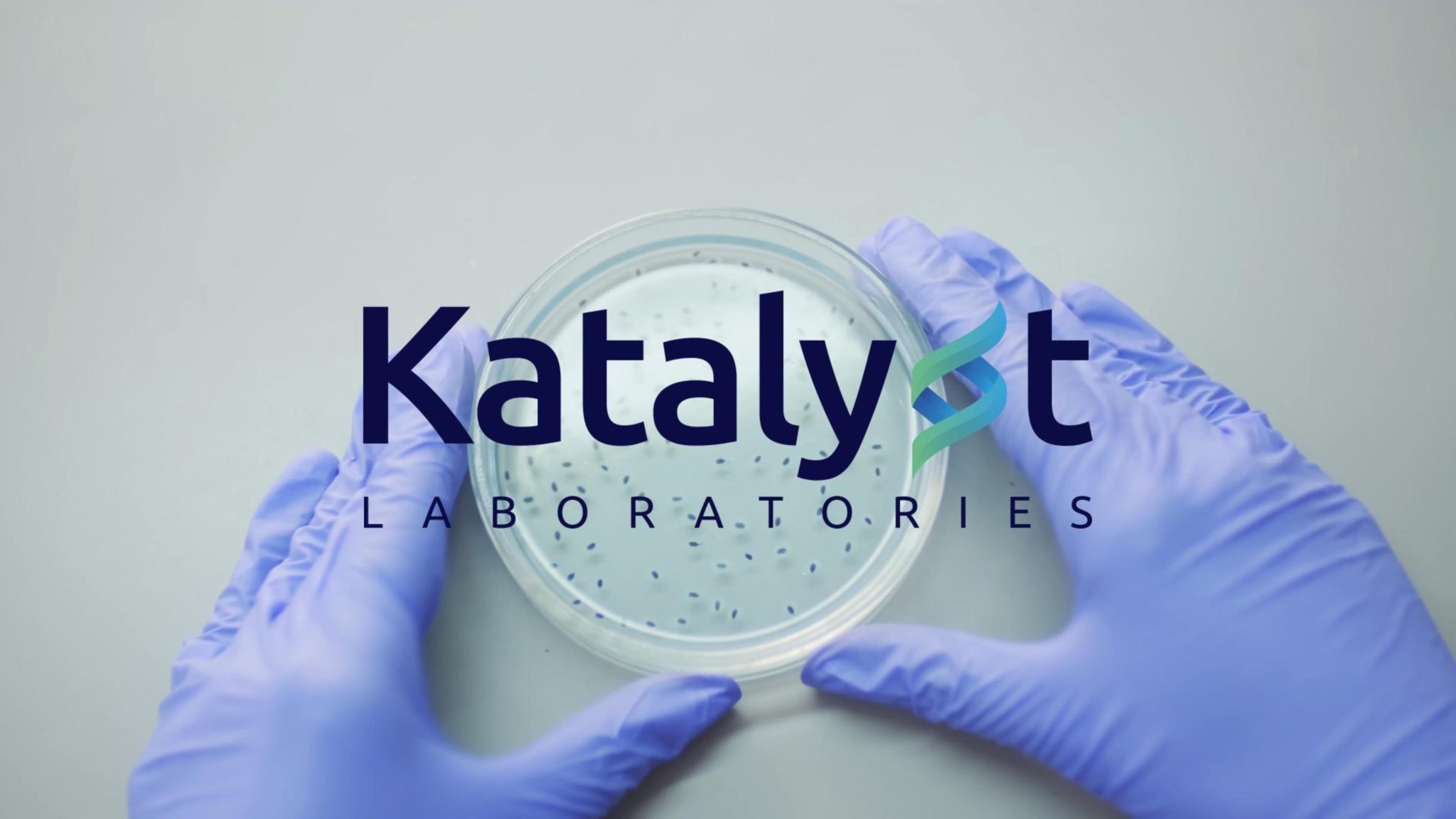 Katalyst Laboratories